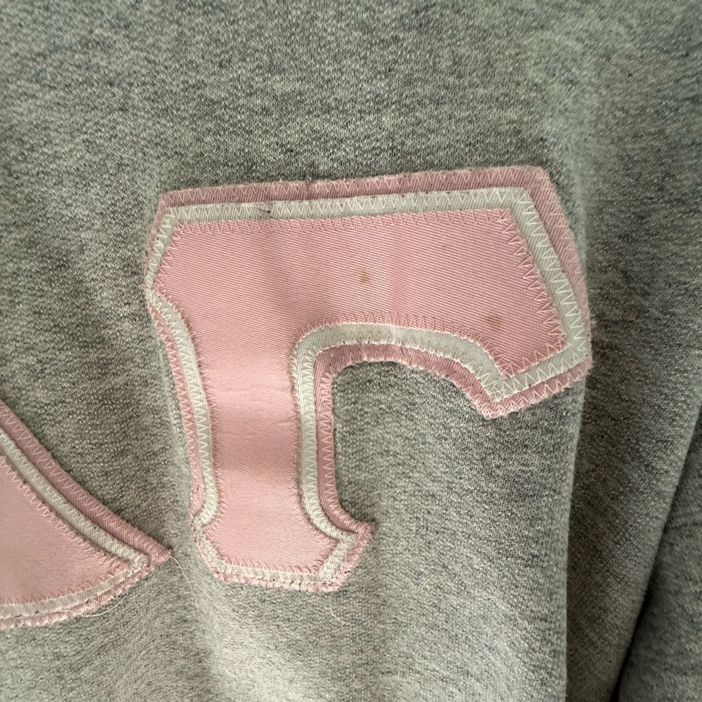 Delta Gamma Gray Hoodie with Pink Letters - Picture 3 of 5